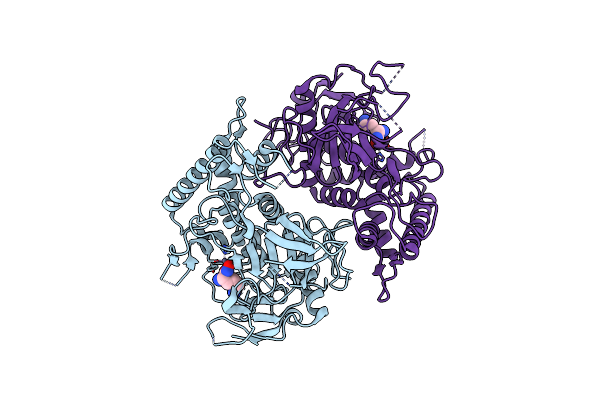 2IMB image