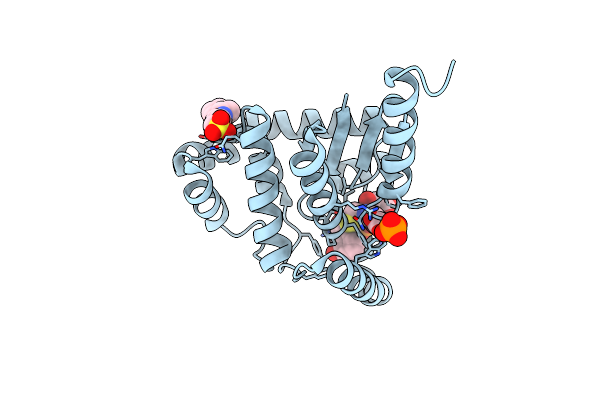 2IMD image