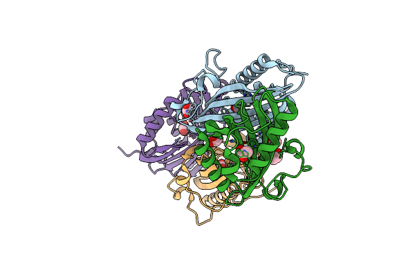 2IMJ image