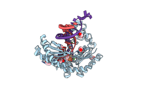 2IMW image