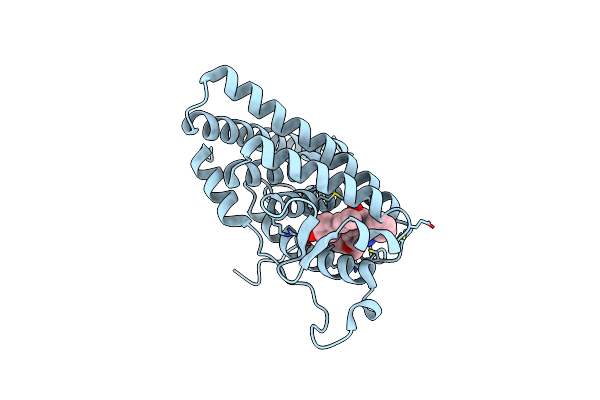 2IOG image