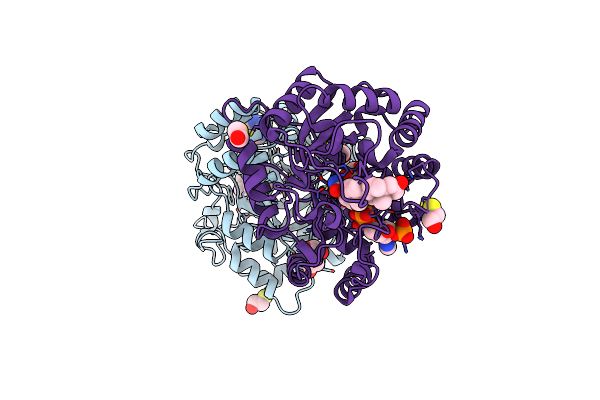 2IPF image