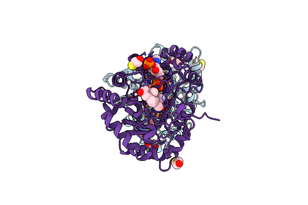 2IPG image