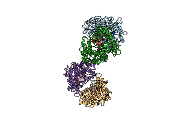 2IPI image