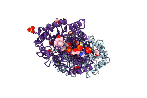 2IPJ image