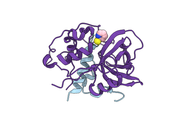 2IPP image
