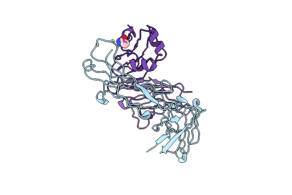 2IPT image