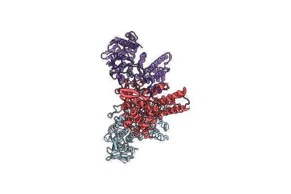 2IQH image