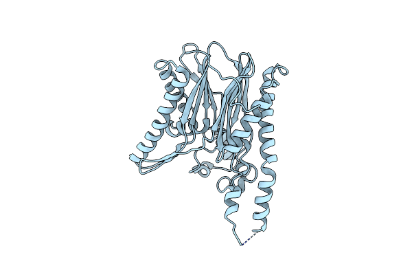 2IRM image