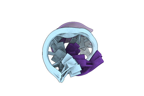 2IRN image