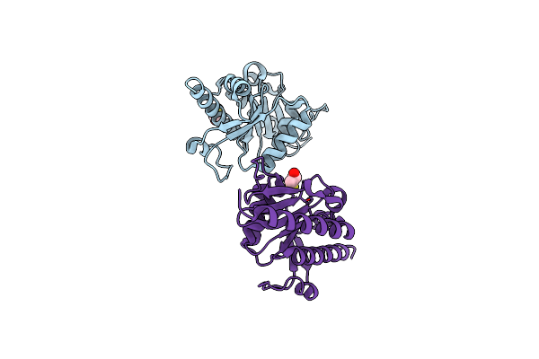 2IRP image