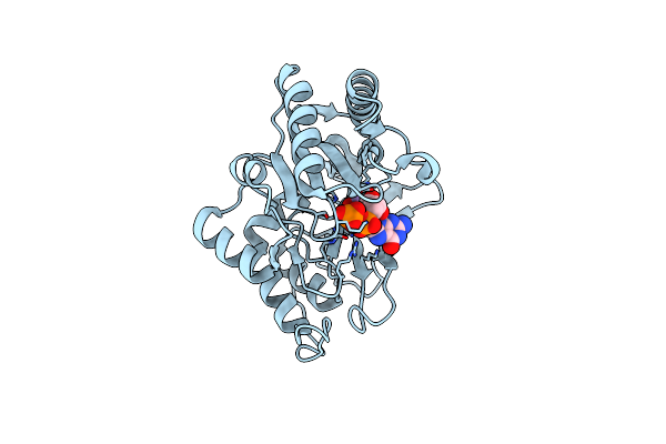 2IRX image