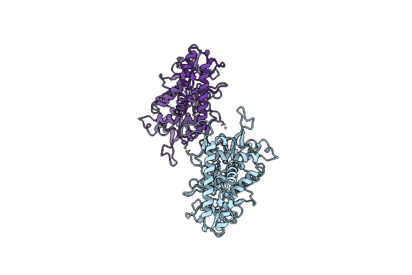 2ISG image
