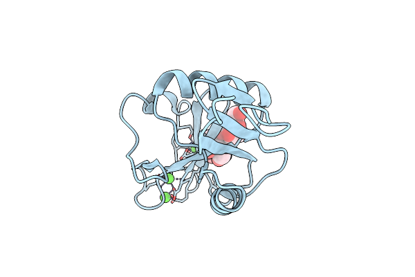 2IT5 image