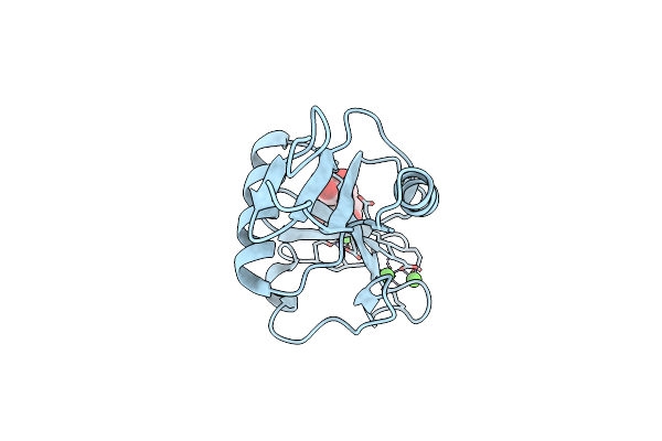 2IT6 image
