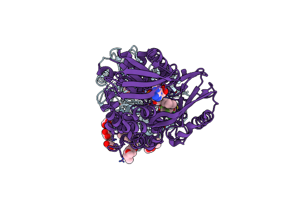 2IVD image