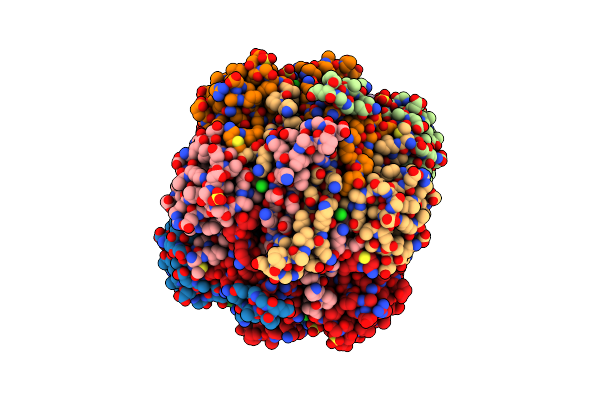 2IVG image