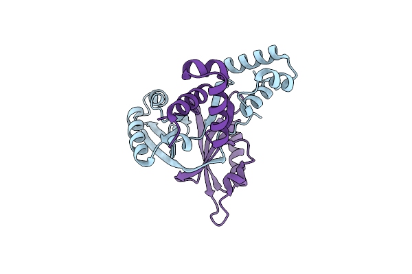 2IVM image