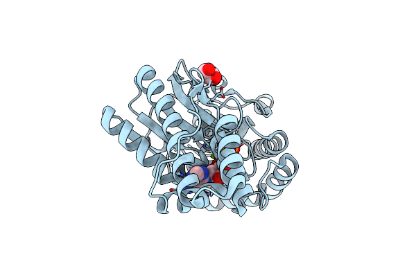 2IVN image