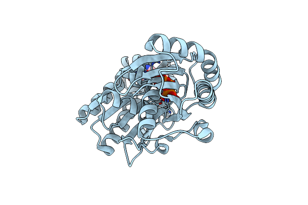 2IVP image