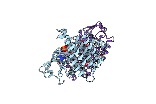 2IVS image