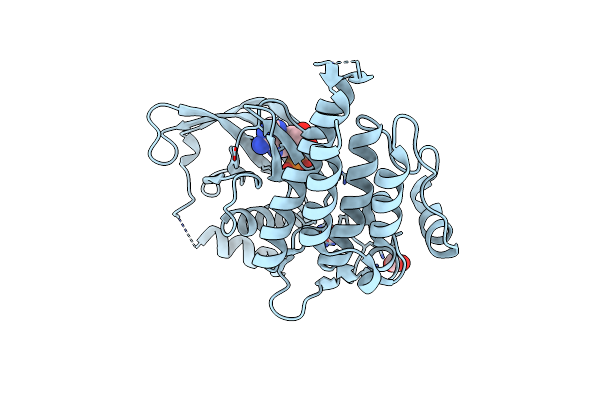 2IVT image