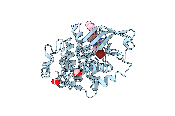 2IVU image