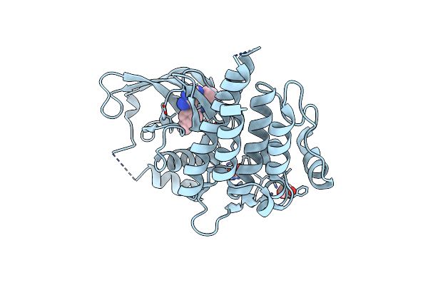2IVV image