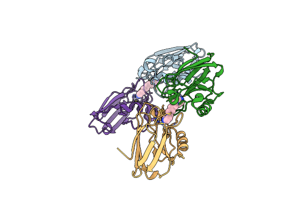 2IWE image