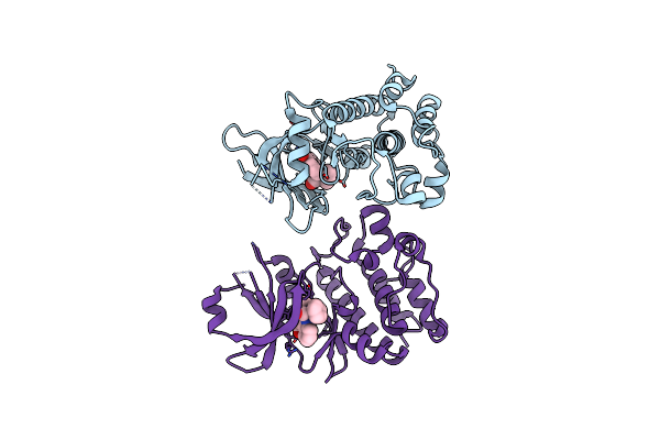 2IWI image