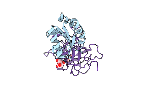 2IWT image