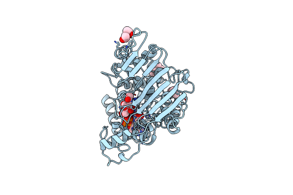 2IXB image