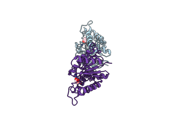 2IXD image