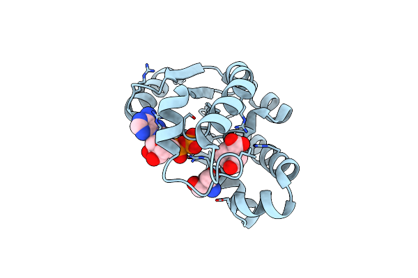 2IYQ image