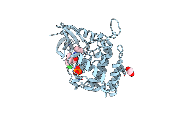 2IZU image