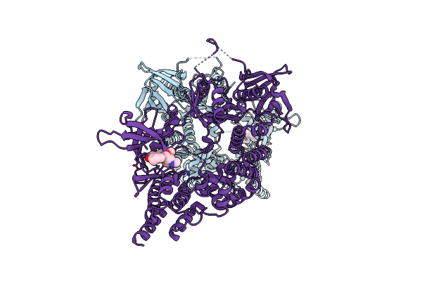 2J0K image