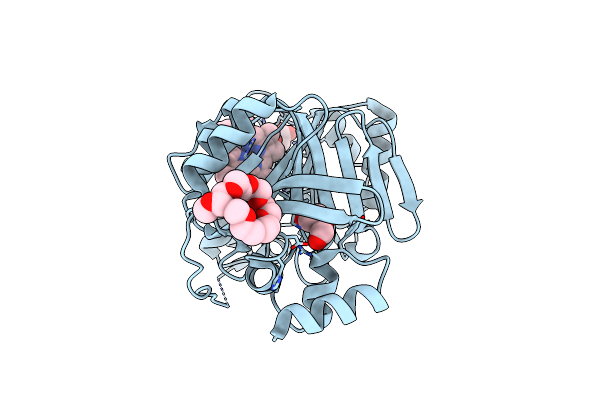 2J0P image