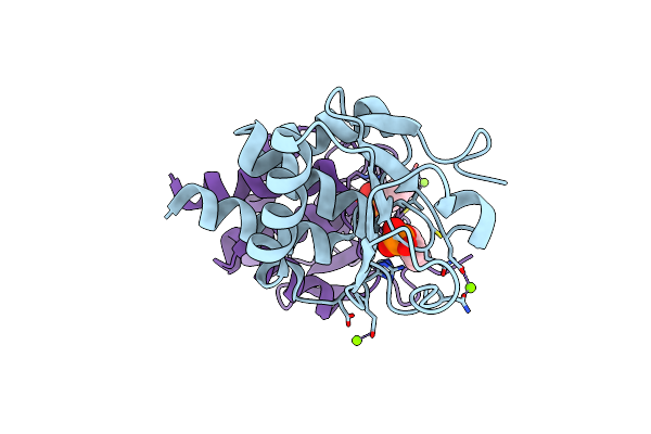 2J17 image