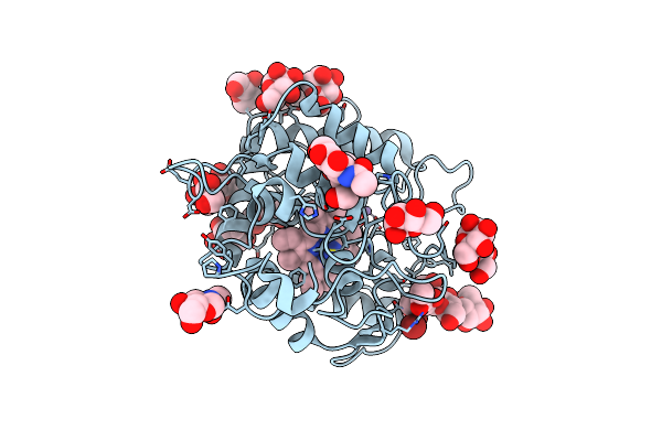 2J18 image