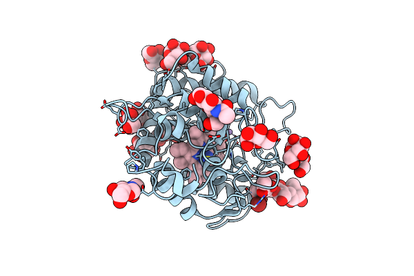 2J19 image