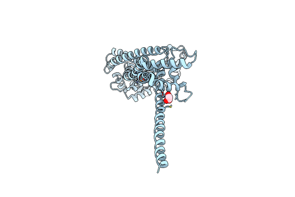 2J1D image