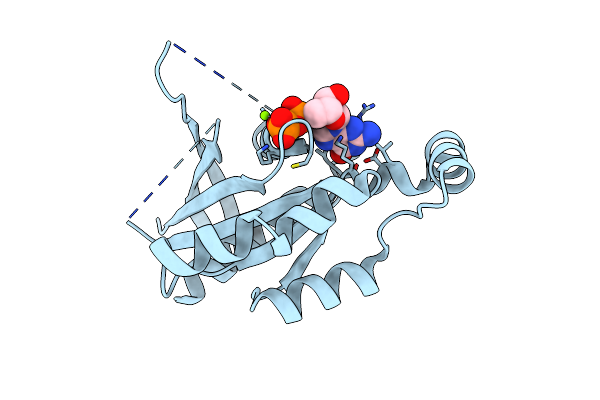 2J1L image