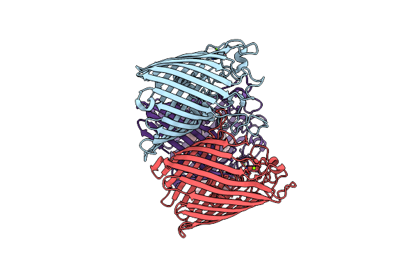 2J1N image