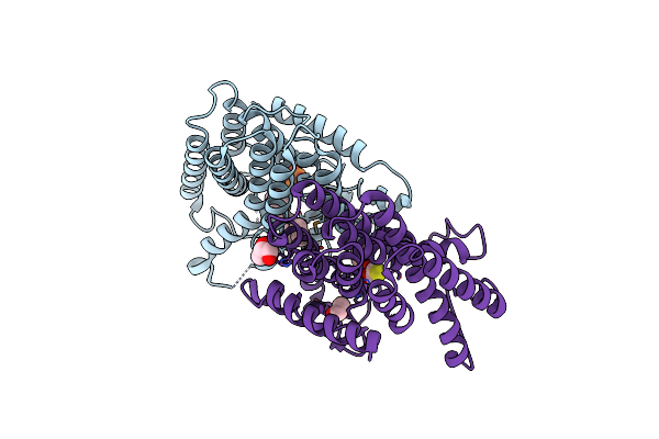 2J1P image