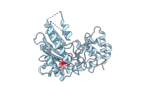 2J1Q image