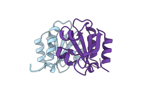 2J23 image