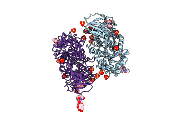 2J25 image