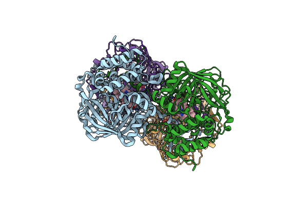 2J2M image