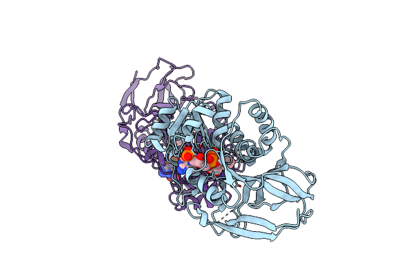 2J3I image