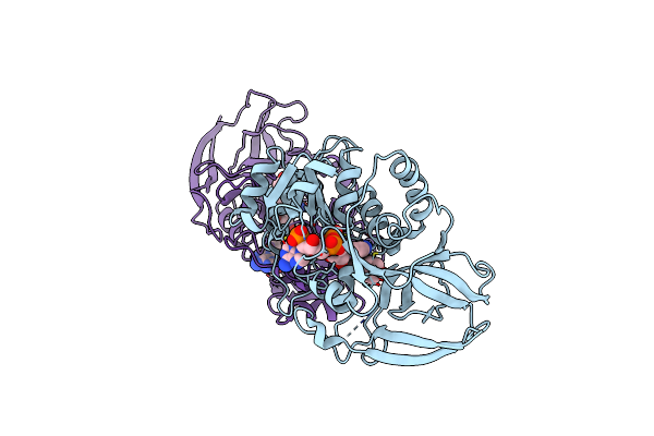 2J3J image